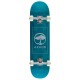 Arbor Street Complete Blue Skateboard