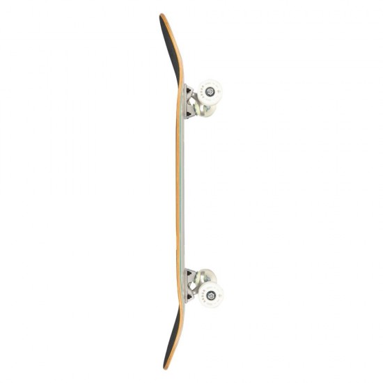 Arbor Street Complete Street 8.0 Daisy Skateboard